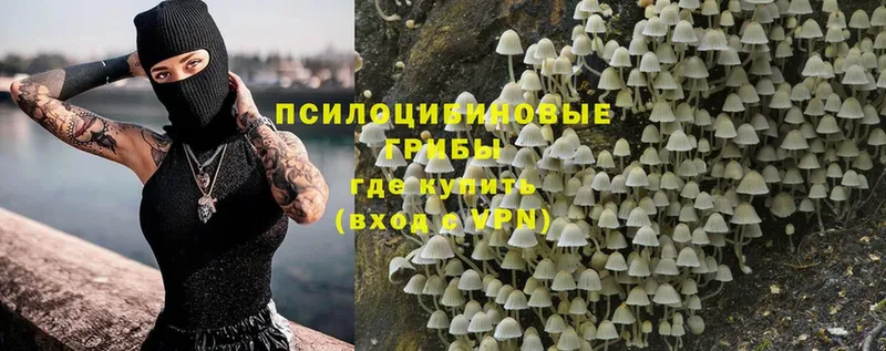 Галлюциногенные грибы MAGIC MUSHROOMS  Зубцов 